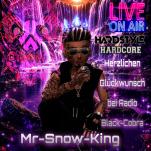 MrSnowKing